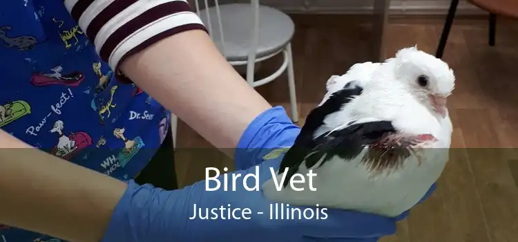 Bird Vet Justice - Illinois