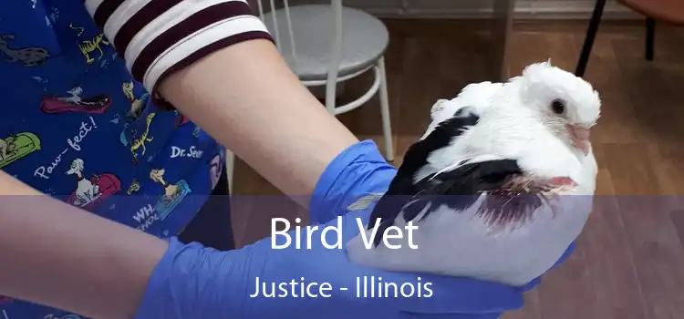 Bird Vet Justice - Illinois