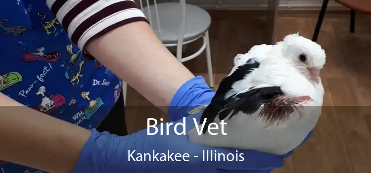 Bird Vet Kankakee - Illinois