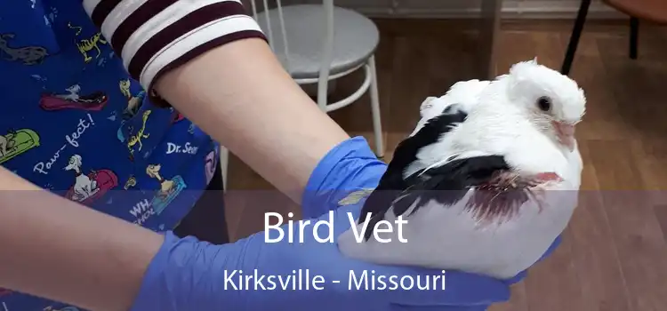 Bird Vet Kirksville - Missouri