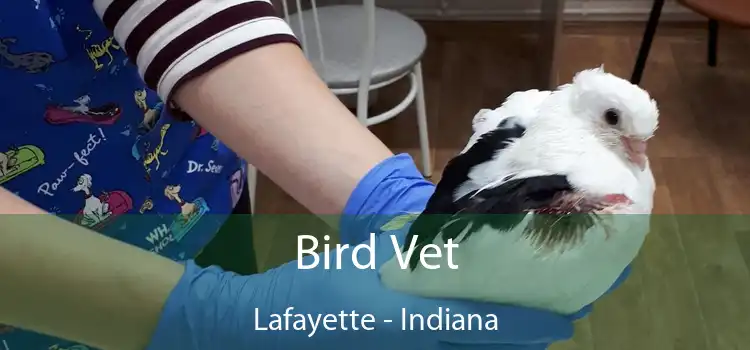 Bird Vet Lafayette - Indiana