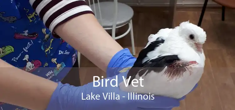 Bird Vet Lake Villa - Illinois