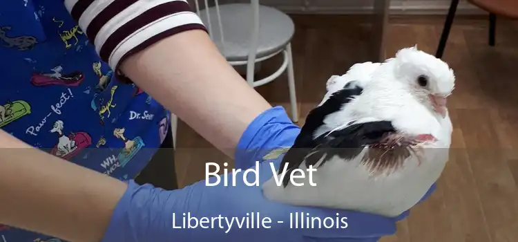 Bird Vet Libertyville - Illinois