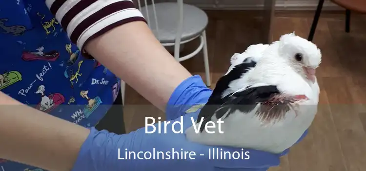 Bird Vet Lincolnshire - Illinois