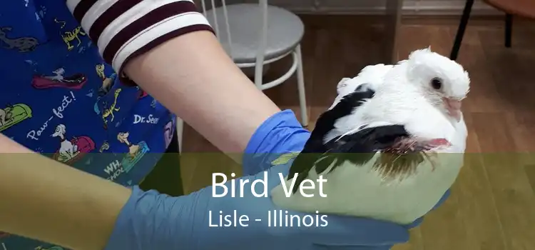 Bird Vet Lisle - Illinois