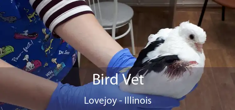 Bird Vet Lovejoy - Illinois