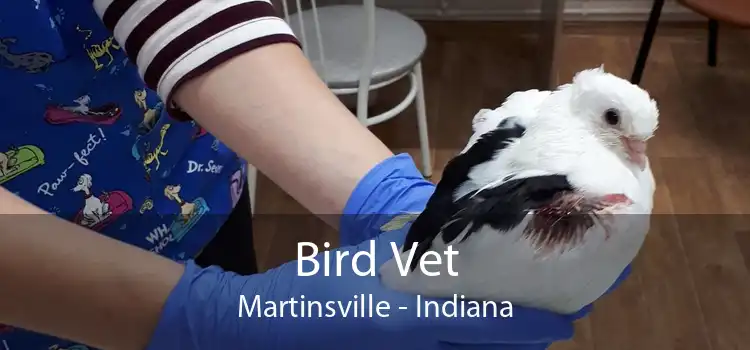 Bird Vet Martinsville - Indiana