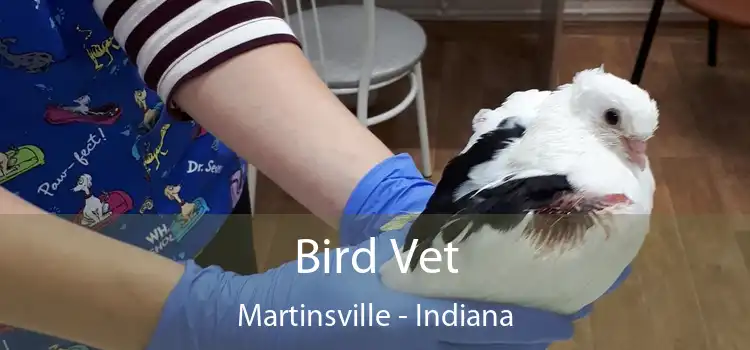 Bird Vet Martinsville - Indiana