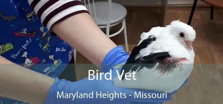 Bird Vet Maryland Heights - Missouri