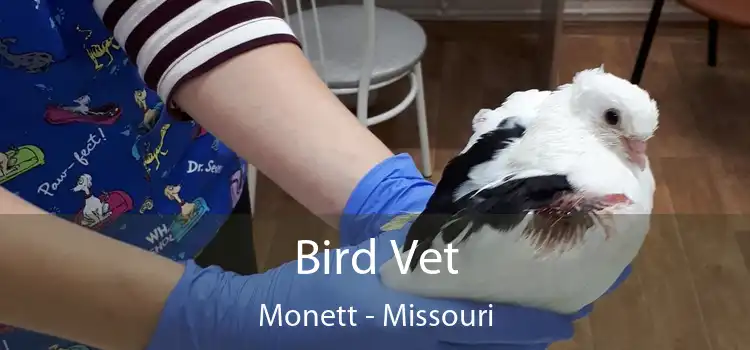 Bird Vet Monett - Missouri