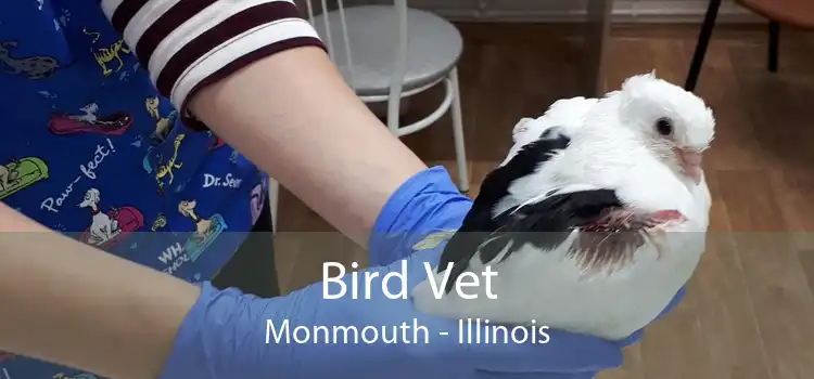 Bird Vet Monmouth - Illinois
