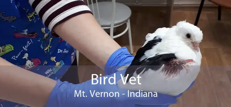 Bird Vet Mt. Vernon - Indiana
