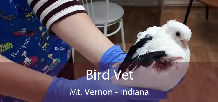 Bird Vet Mt. Vernon - Indiana