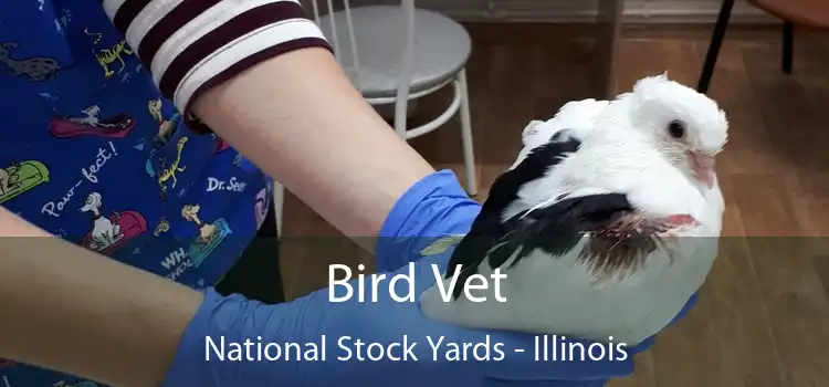Bird Vet National Stock Yards - Illinois