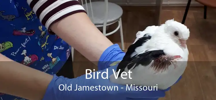 Bird Vet Old Jamestown - Missouri