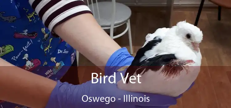 Bird Vet Oswego - Illinois