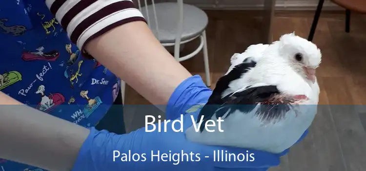 Bird Vet Palos Heights - Illinois