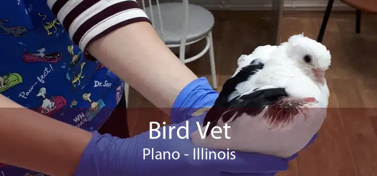 Bird Vet Plano - Illinois
