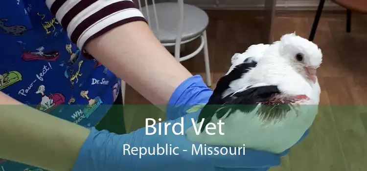 Bird Vet Republic - Missouri