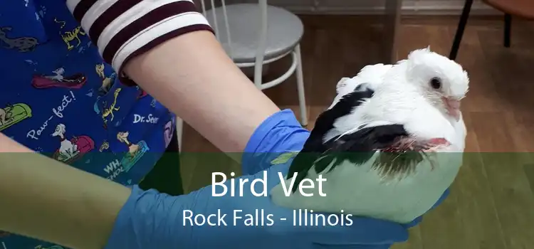 Bird Vet Rock Falls - Illinois