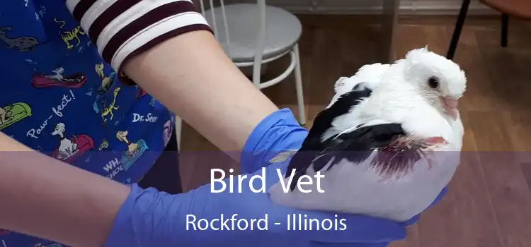 Bird Vet Rockford - Illinois