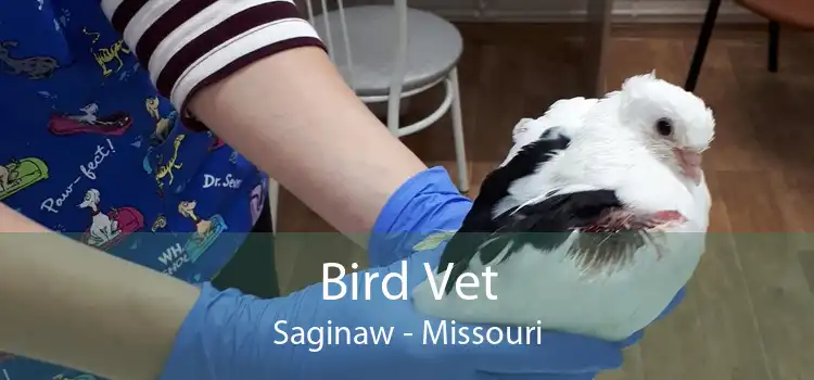 Bird Vet Saginaw - Missouri