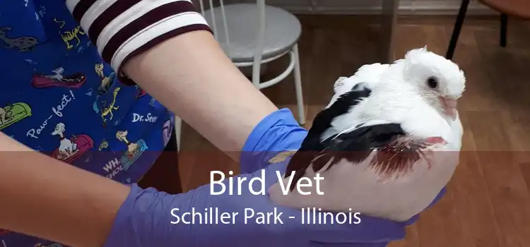 Bird Vet Schiller Park - Illinois