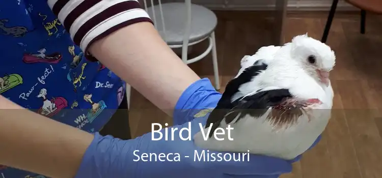Bird Vet Seneca - Missouri