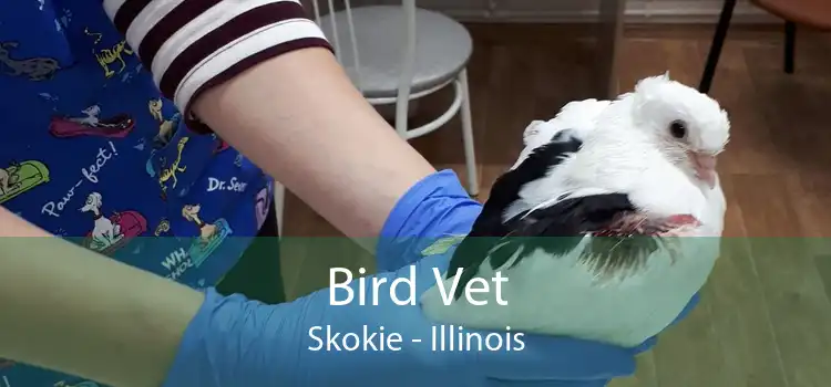 Bird Vet Skokie - Illinois