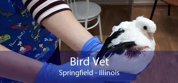 Bird Vet Springfield - Illinois