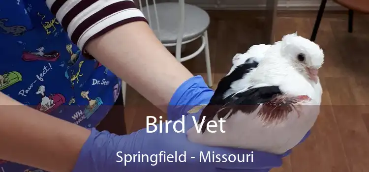Bird Vet Springfield - Missouri