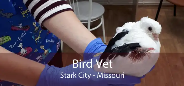 Bird Vet Stark City - Missouri