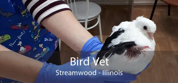 Bird Vet Streamwood - Illinois