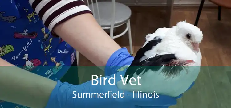 Bird Vet Summerfield - Illinois