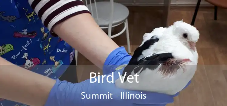 Bird Vet Summit - Illinois