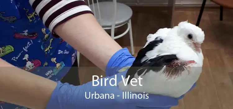 Bird Vet Urbana - Illinois