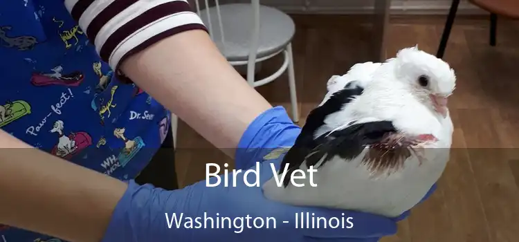 Bird Vet Washington - Illinois