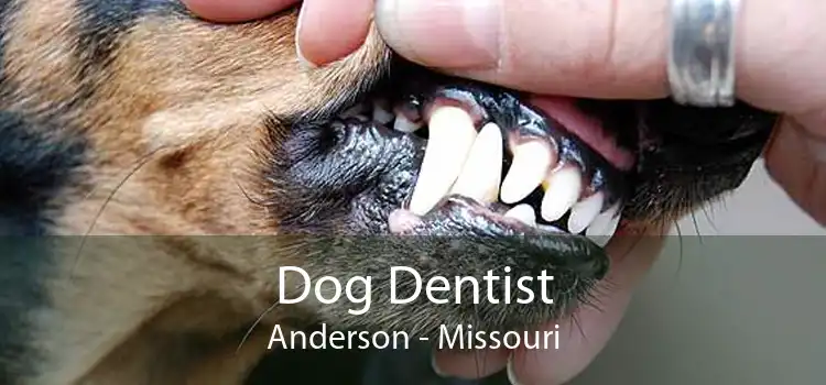 Dog Dentist Anderson - Missouri