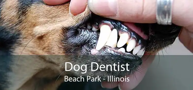 Dog Dentist Beach Park - Illinois