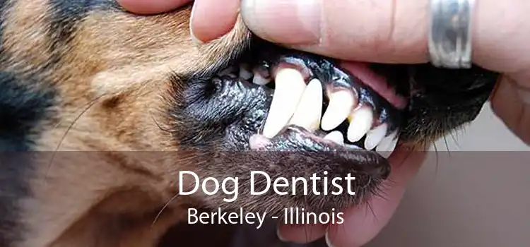 Dog Dentist Berkeley - Illinois