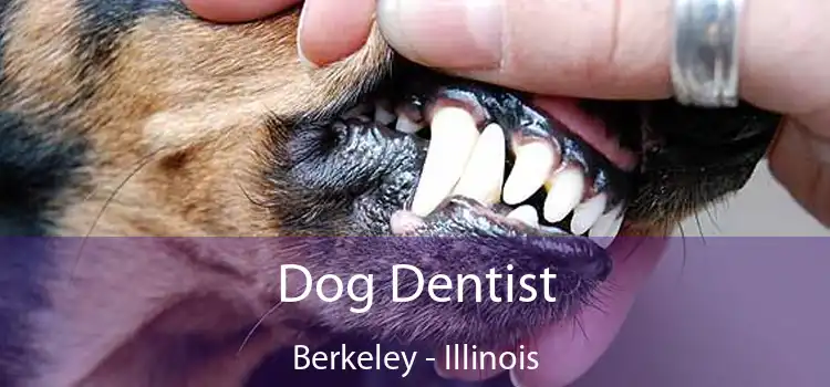 Dog Dentist Berkeley - Illinois