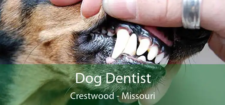 Dog Dentist Crestwood - Missouri