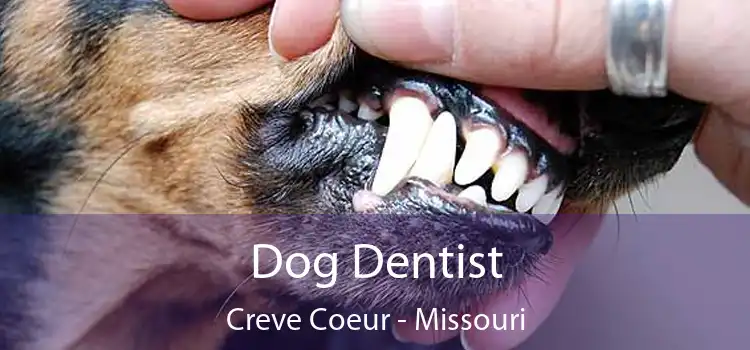 Dog Dentist Creve Coeur - Missouri