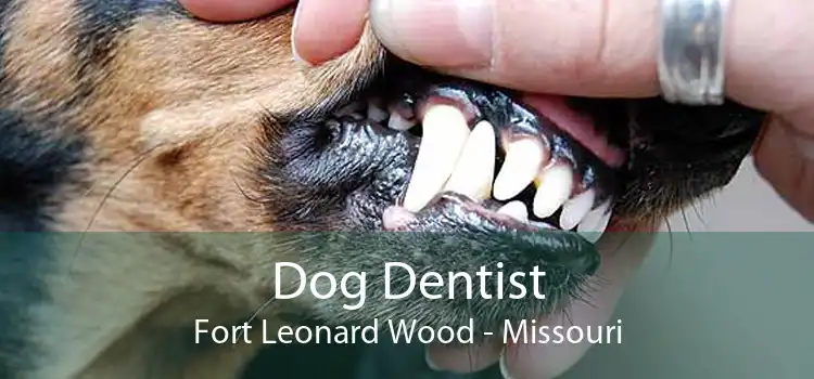 Dog Dentist Fort Leonard Wood - Missouri