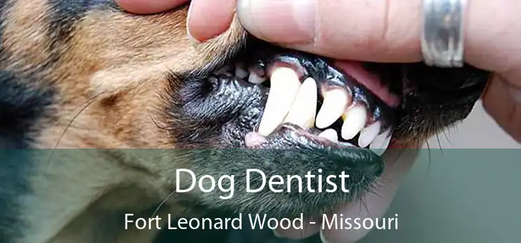 Dog Dentist Fort Leonard Wood - Missouri