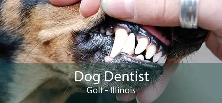 Dog Dentist Golf - Illinois