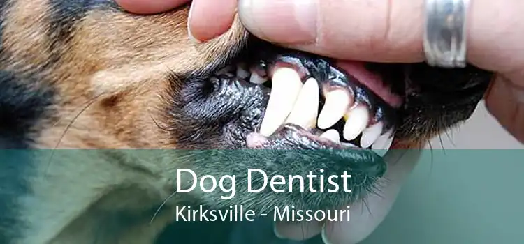 Dog Dentist Kirksville - Missouri