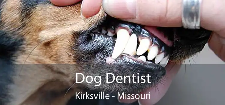 Dog Dentist Kirksville - Missouri