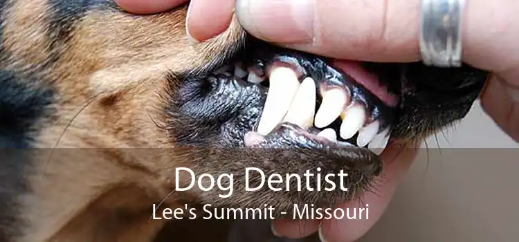 Dog Dentist Lee's Summit - Missouri