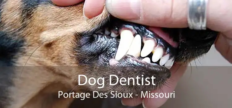 Dog Dentist Portage Des Sioux - Missouri